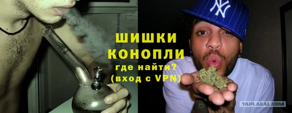 гидра Арсеньев