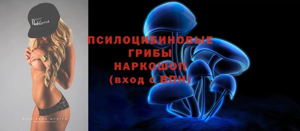 гидра Арсеньев