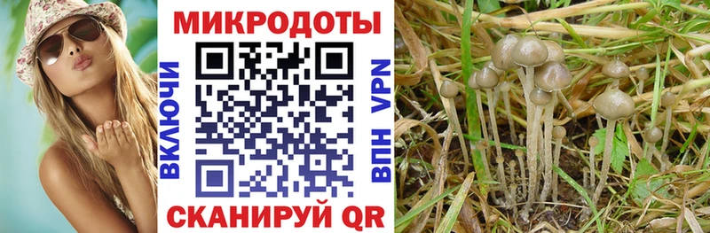 ссылка на мегу ONION  Сатка  Псилоцибиновые грибы Magic Shrooms 